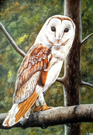 Chouette effraie #3 Painting titled "Chouette effraie #3" by Sabrina Riggio, Original Artwork, Acrylic