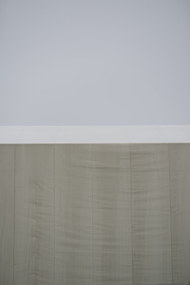 Central Margins - Jun. 12, 2023, 13:07:13 Photography titled "Central Margins - J…" by Shuzo Takechi, Original Artwork, Digital Photography