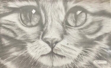 Drawing titled "CAT" by Ebru Çelik, Original Artwork, Charcoal