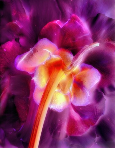 Fotografia intitulada "Hidden Nature 1" por Peter Watson, Obras de arte originais, Fotografia digital