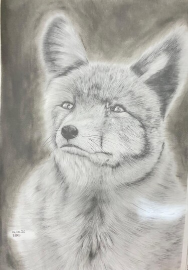 "FOX" başlıklı Resim Ebru Çelik tarafından, Orijinal sanat, Karakalem