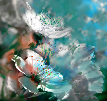 "Pintura Floral" başlıklı Fotoğraf Alfonso García tarafından, Orijinal sanat, Dijital Fotoğrafçılık