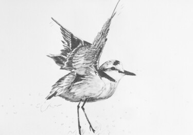 Drawing titled "gravelot 9" by Guillaume Le Moal, Original Artwork, Pencil