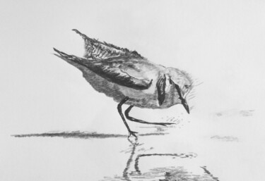 Drawing titled "gravelot 6" by Guillaume Le Moal, Original Artwork, Pencil