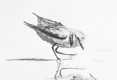 Drawing titled "Gravelot 5." by Guillaume Le Moal, Original Artwork, Pencil