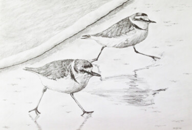 Drawing titled "gravelot 2" by Guillaume Le Moal, Original Artwork, Pencil