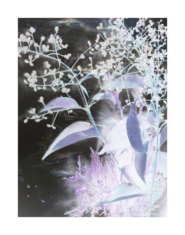Printmaking titled "A secret life is in…" by Banu Muazzez Arpalı, Original Artwork, Digital Photography