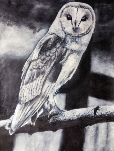 Chouette effraie #4 Painting titled "Chouette effraie #4" by Sabrina Riggio, Original Artwork, Acrylic