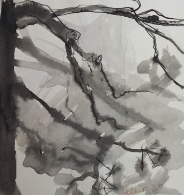 Drawing titled "Oak branches" by Irina Seller, Original Artwork, Ink