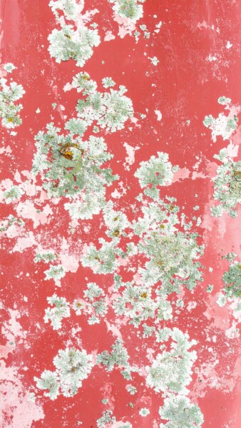 摄影 标题为“Abstract Surface 1” 由Peppeluciani, 原创艺术品, AI生成的图像