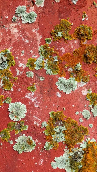 摄影 标题为“Abstract Surface 2” 由Peppeluciani, 原创艺术品, AI生成的图像
