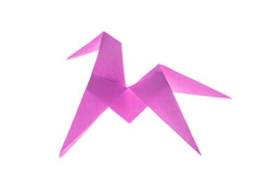 origami rose et lumière intérieure Fotografia zatytułowany „origami rose et lum…” autorstwa Cecile Ducrot, Oryginalna praca, Fotografia nie manipulowana