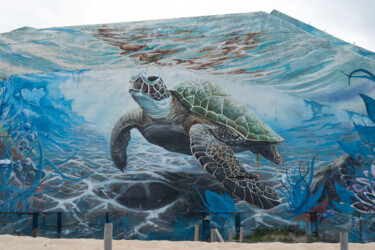 Blockhaus tortue dans les Landes Fotografia intitolato "Blockhaus tortue da…" da Coralie Dauzats, Opera d'arte originale, Fotografia digitale