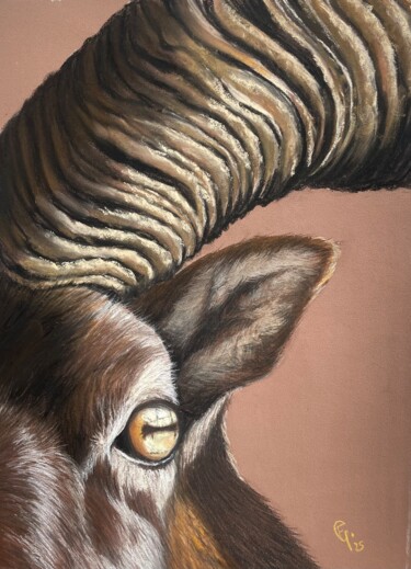 图画 标题为“La force du mouflon” 由Francette Guittard, 原创艺术品, 粉彩 安装在纸板上