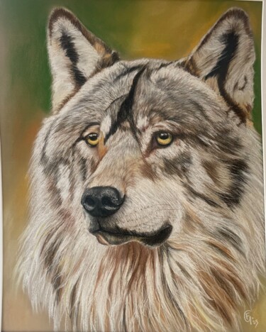 Drawing titled "Loup triste" by Francette Guittard, Original Artwork, Pastel Mounted on Cardboard