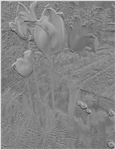 Fotografia zatytułowany „Champs de tulipes” autorstwa Nobuaki Nakamura, Oryginalna praca, Malowanie światłem