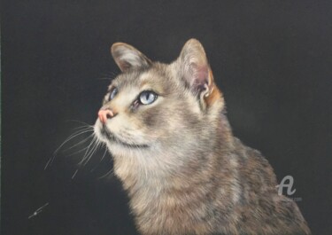 Felis chaus Desenho intitulada "Felis chaus" por Irene_art, Obras de arte originais, Pastel