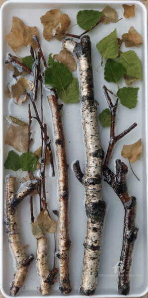 Forest Sculpture titled "Forest" by Jelena Stojkovic Miric, Original Artwork, Resin