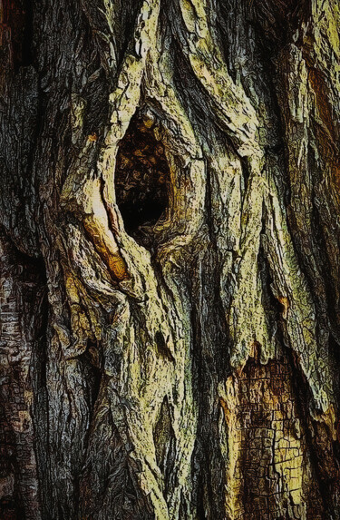 Bark.