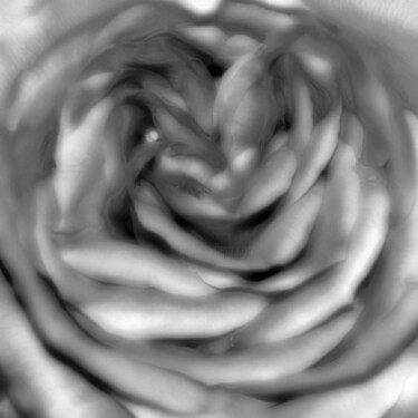 Photography titled "Corolla" by Peter Watson, Original Artwork, Digital Photography