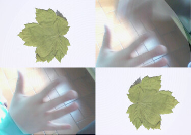 "Feuilles" başlıklı Fotoğraf O.M.A. tarafından, Orijinal sanat, Dijital Fotoğrafçılık