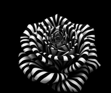 DAJA BLAQQ: FLOWER SERIES COLLECTION (ZEBRA ROSE) Digital Arts titled "DAJA BLAQQ: FLOWER…" by Daja, Original Artwork, AI generated image