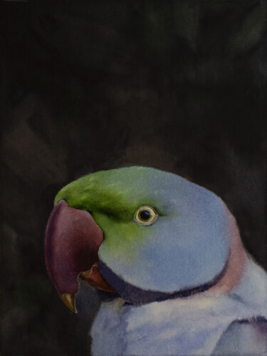 Parrot | Perroquet Painting titled "Parrot | Perroquet" by Olga Medvedeva, Original Artwork, Watercolor