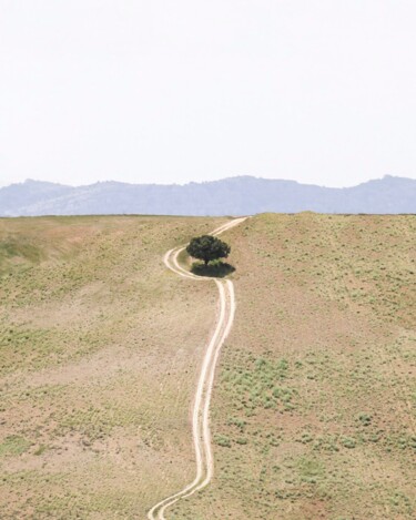 Photography titled "Path of Respect" by Alireza Bagheri Sani, Original Artwork, Digital Photography Mounted on artwork_cat.