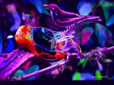 Digitale Kunst mit dem Titel "Birds eating" von Rudy L. Henderson, Original-Kunstwerk, Digitale Collage
