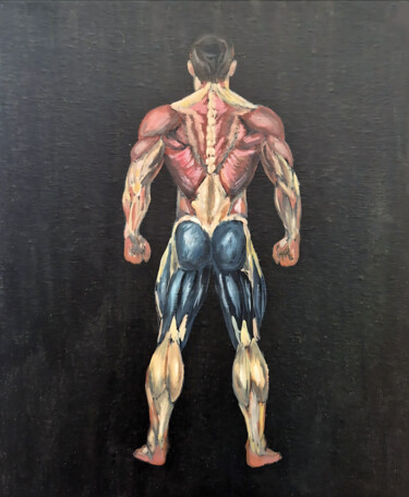 Anatomical Muscle Man Painting Ζωγραφική με τίτλο "Anatomical Muscle M…" από Anna Abkaryan, Αυθεντικά έργα τέχνης, Ακρυλικό
