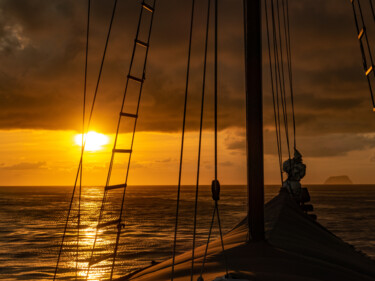 Raja Ampat's Golden Ascent Fotografia intitolato "Raja Ampat's Golden…" da Robin Mcmarty, Opera d'arte originale, Fotografia digitale