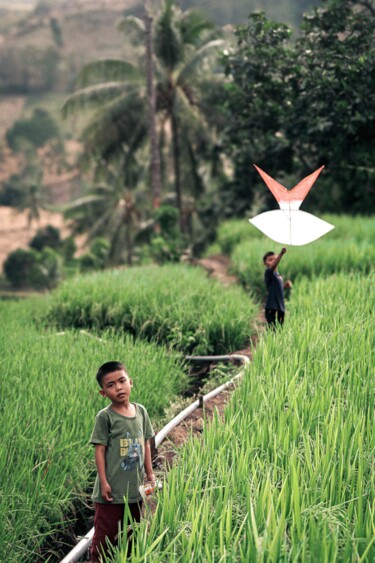 Childhood in the Rice Fields Fotografia intitolato "Childhood in the Ri…" da Robin Mcmarty, Opera d'arte originale, Fotografia digitale