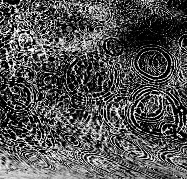 En noir et blanc 2 Fotografia intitolato "En noir et blanc 2" da Sylvie Chapuis, Opera d'arte originale, Fotografia non manipolata