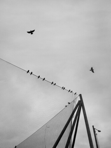 Quadrature