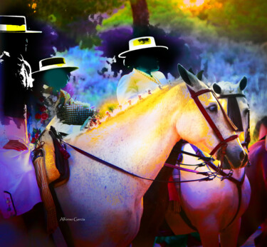 Fotografia zatytułowany „Camino al Rocio 12” autorstwa Alfonso García, Oryginalna praca, Fotografia cyfrowa