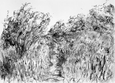 Disegno intitolato "Path." da Victoria General, Opera d'arte originale, Matita