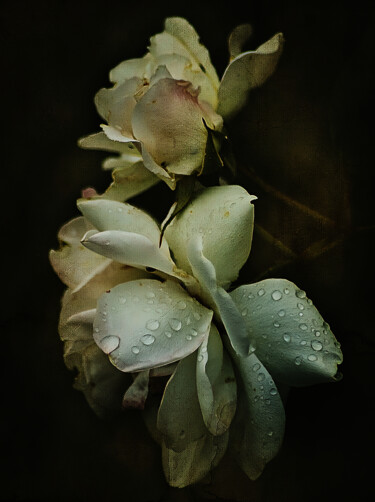 Fading