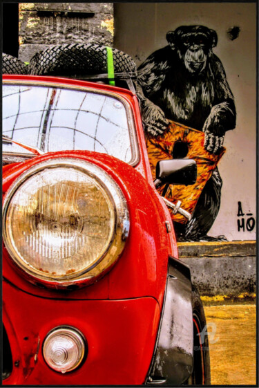 Photography titled "la planète des sing…" by Ricardo Thys (AUTOportrait by Ricardo), Original Artwork, Digital Photography M…