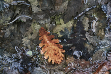 Photographie intitulée "Melancholia 003" par Marko Rupena, Œuvre d'art originale, Photographie numérique