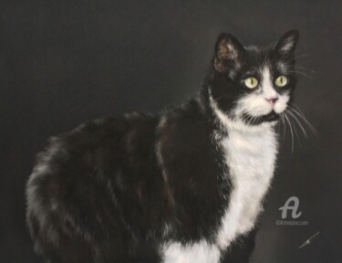 Drawing titled "Babsu" by Irene_art, Original Artwork, Pastel