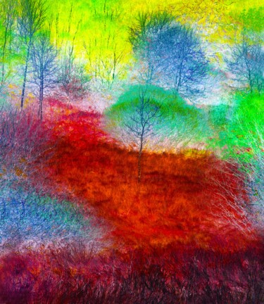 摄影 标题为“Fay Forest” 由Peter Watson, 原创艺术品, 数码摄影