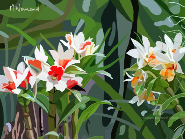 2025-06-03 Cuba -Las Terrazas - Soroa - Orchidées