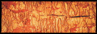 Photographie intitulée "Australian Bark" par Rob Shiels, Œuvre d'art originale, Photographie numérique
