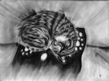 "Quand Pâquerette do…" başlıklı Tablo Anne Brigaud tarafından, Orijinal sanat, Karakalem