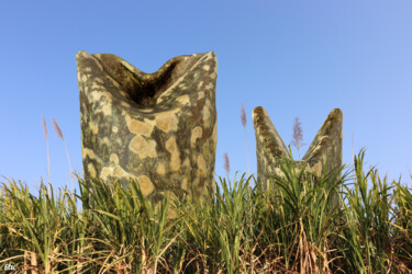 Photography titled "Cannes à l'île de L…" by Elté, Original Artwork, Manipulated Photography