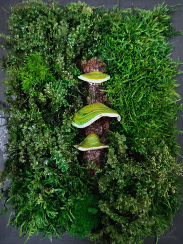 Green Tree Mushrooms Preserved Moss Art Collages titled "Green Tree Mushroom…" by Simona Zorina, Original Artwork, Collages Mounted on Cardboard