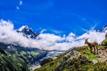 "Au coeur des Alpes" başlıklı Fotoğraf Frederic Bos tarafından, Orijinal sanat, Dijital Fotoğrafçılık