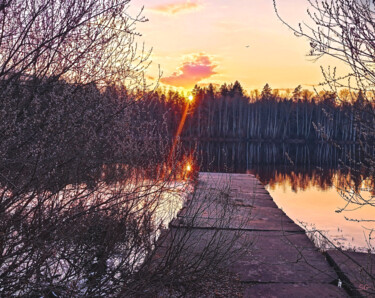 Fotografia intitolato "Willow Buds and Sun…" da Sergei Gundorov, Opera d'arte originale, Fotografia digitale