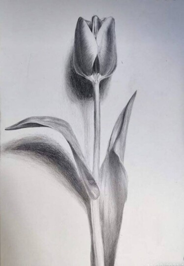 Whispers of Spring Schilderij getiteld "Whispers of Spring" door Maryam Zarei, Origineel Kunstwerk, Potlood