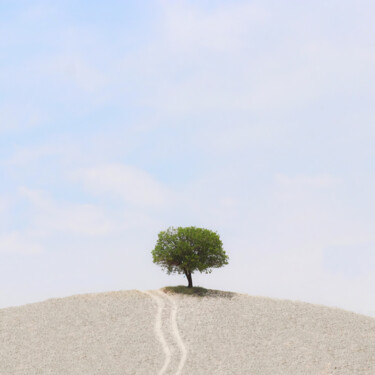 제목이 "Lonely Tree"인 사진 Alireza Bagheri Sani로, 원작, 디지털